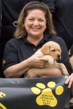 veteran dogs