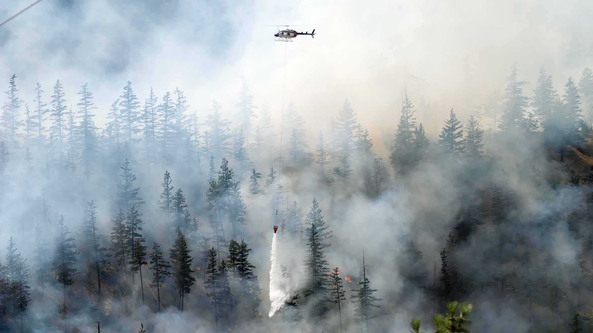 canadian wildfires